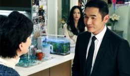 离婚律师在线观看,揭秘婚姻破裂背后的法律智慧