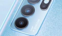 郑晨龙最新爆料消息视频,揭秘事件背后惊人真相